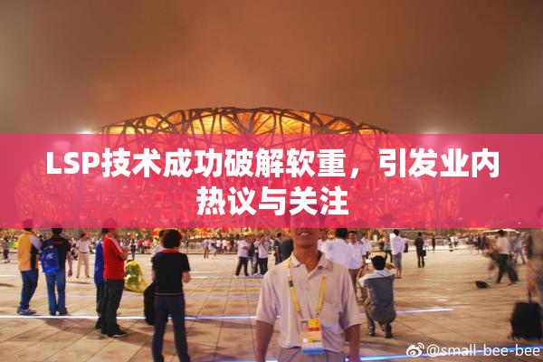 LSP技术成功破解软重，引发业内热议与关注