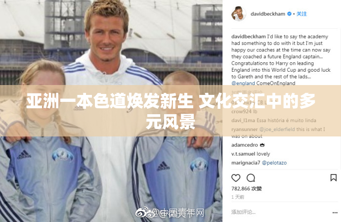 亚洲一本色道焕发新生 文化交汇中的多元风景