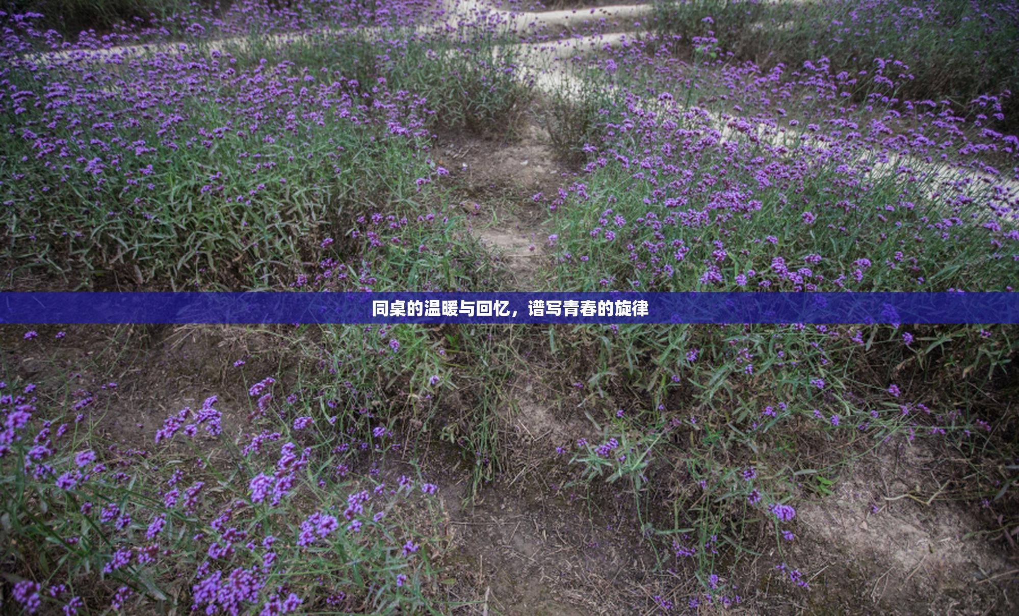 同桌的温暖与回忆，谱写青春的旋律