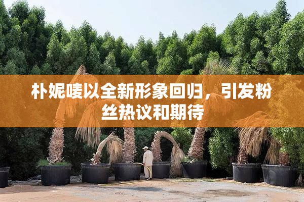 朴妮唛以全新形象回归，引发粉丝热议和期待