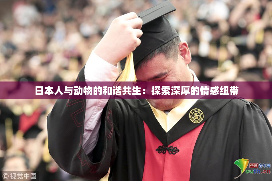 日本人与动物的和谐共生：探索深厚的情感纽带
