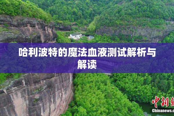 哈利波特的魔法血液测试解析与解读