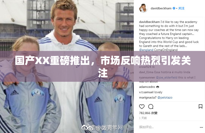国产XX重磅推出，市场反响热烈引发关注