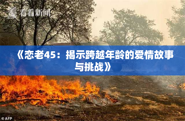 《恋老45：揭示跨越年龄的爱情故事与挑战》