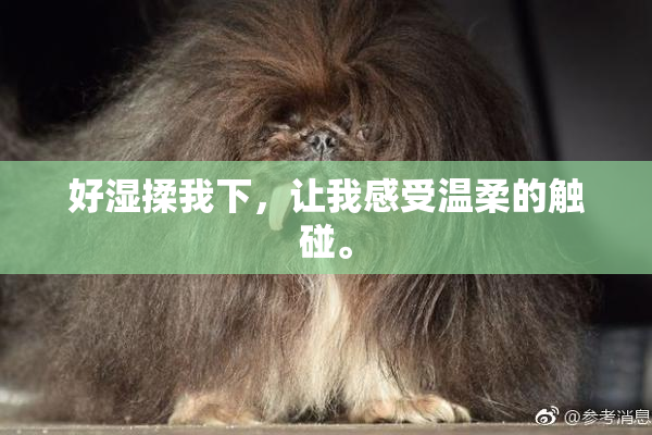 好湿揉我下，让我感受温柔的触碰。
