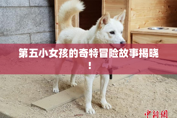 第五小女孩的奇特冒险故事揭晓！
