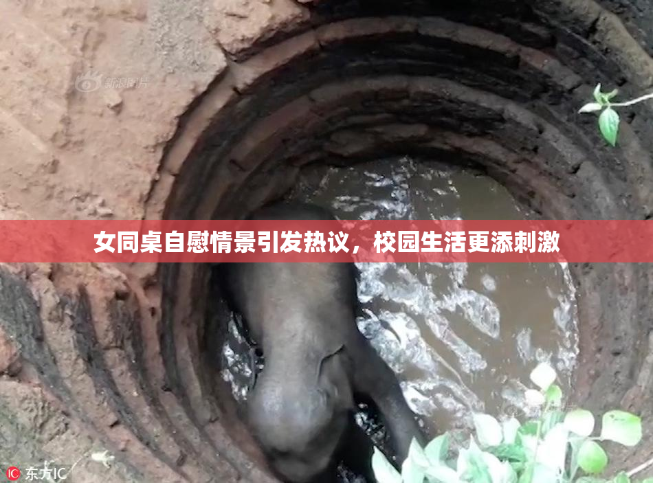 女同桌自慰情景引发热议，校园生活更添刺激