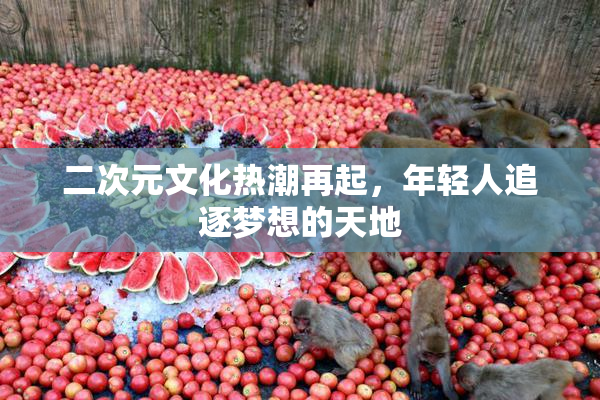 二次元文化热潮再起，年轻人追逐梦想的天地
