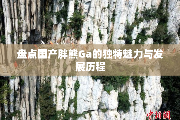 盘点国产胖熊Ga的独特魅力与发展历程
