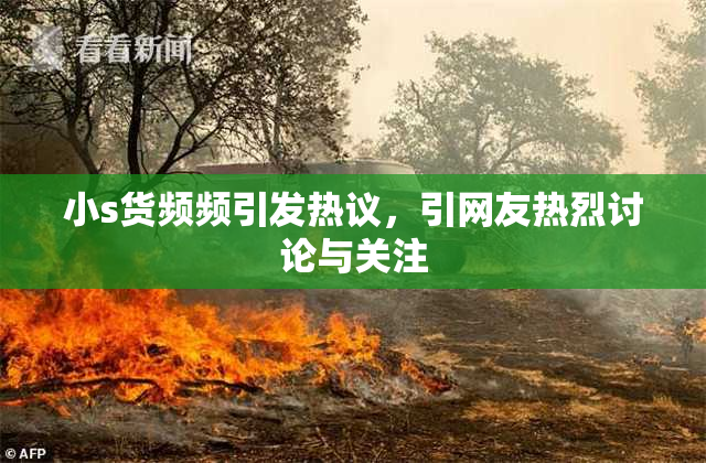 小s货频频引发热议，引网友热烈讨论与关注