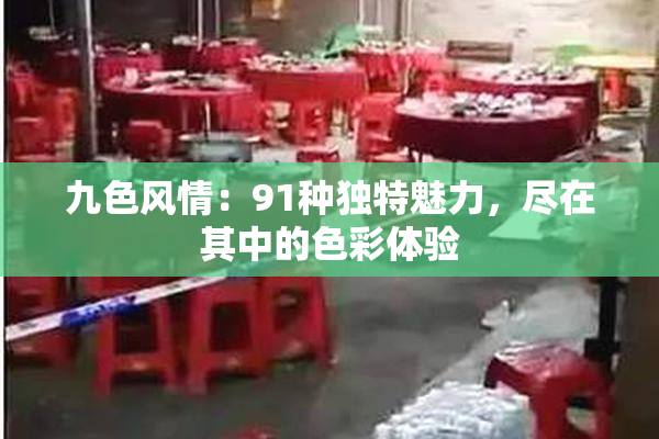 九色风情：91种独特魅力，尽在其中的色彩体验