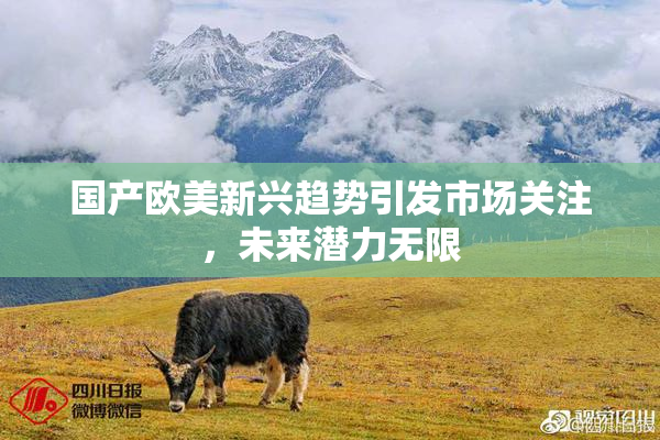 国产欧美新兴趋势引发市场关注，未来潜力无限