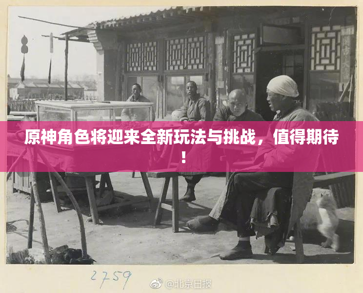 原神角色将迎来全新玩法与挑战，值得期待！