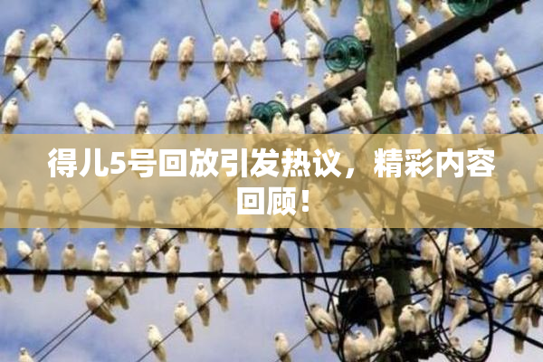得儿5号回放引发热议，精彩内容回顾！