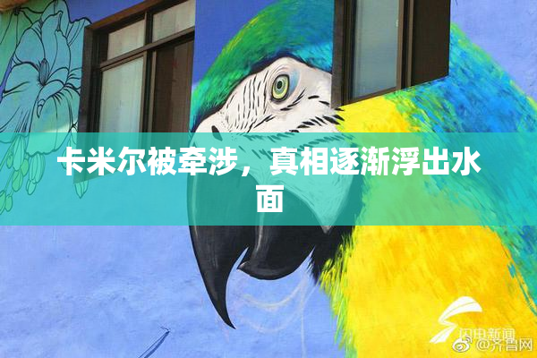 卡米尔被牵涉，真相逐渐浮出水面