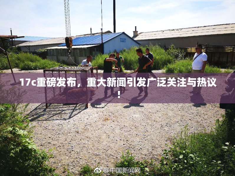 17c重磅发布，重大新闻引发广泛关注与热议！