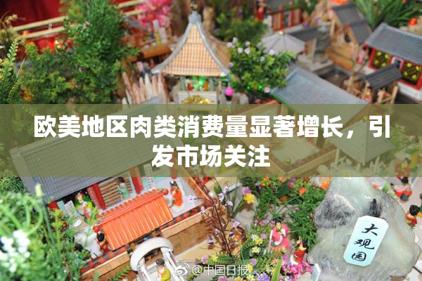 欧美地区肉类消费量显著增长，引发市场关注