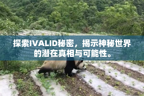 探索IVALID秘密，揭示神秘世界的潜在真相与可能性。