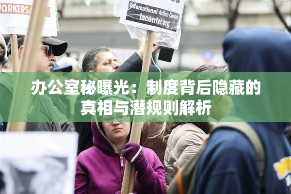 办公室秘曝光：制度背后隐藏的真相与潜规则解析