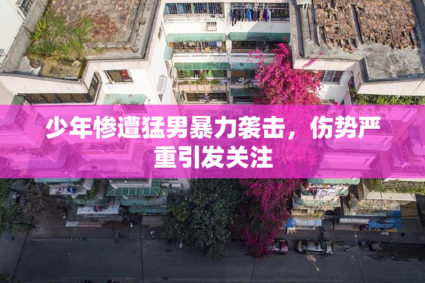 少年惨遭猛男暴力袭击，伤势严重引发关注