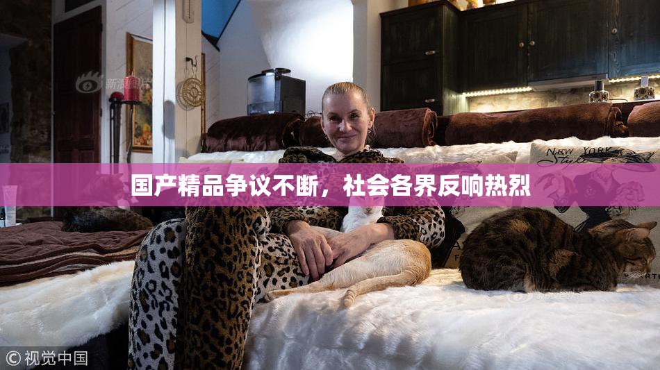 国产精品争议不断，社会各界反响热烈
