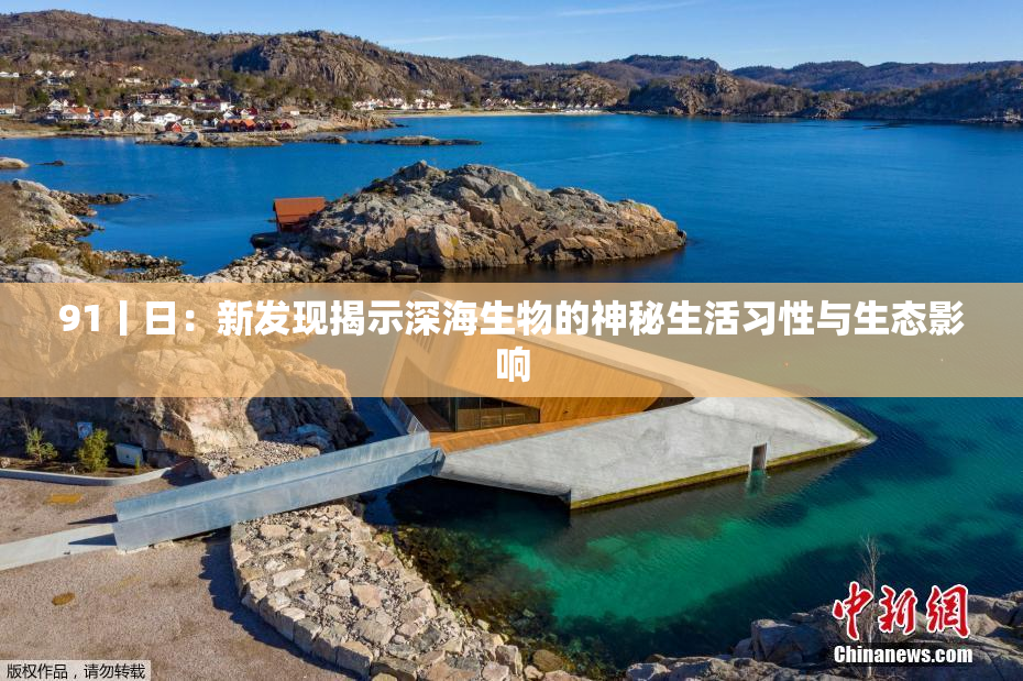 91丨日：新发现揭示深海生物的神秘生活习性与生态影响