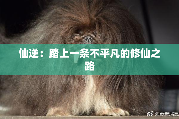 仙逆：踏上一条不平凡的修仙之路