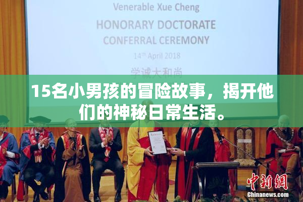 15名小男孩的冒险故事，揭开他们的神秘日常生活。
