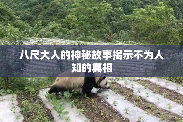 八尺大人的神秘故事揭示不为人知的真相