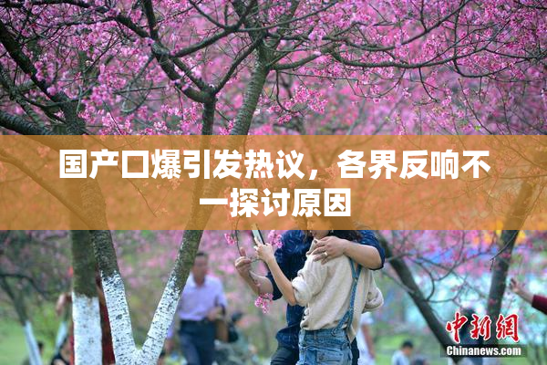 国产囗爆引发热议，各界反响不一探讨原因