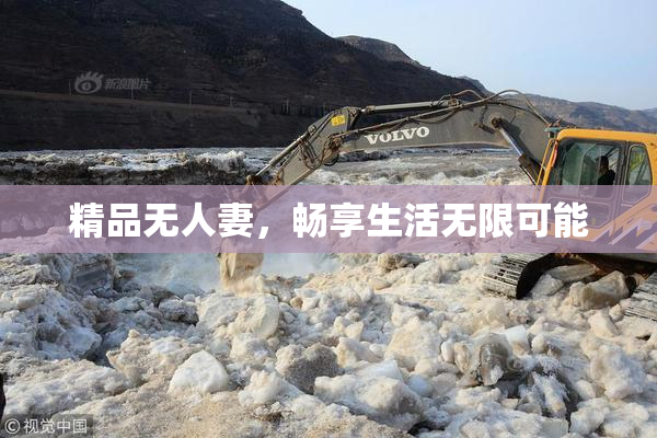 精品无人妻，畅享生活无限可能