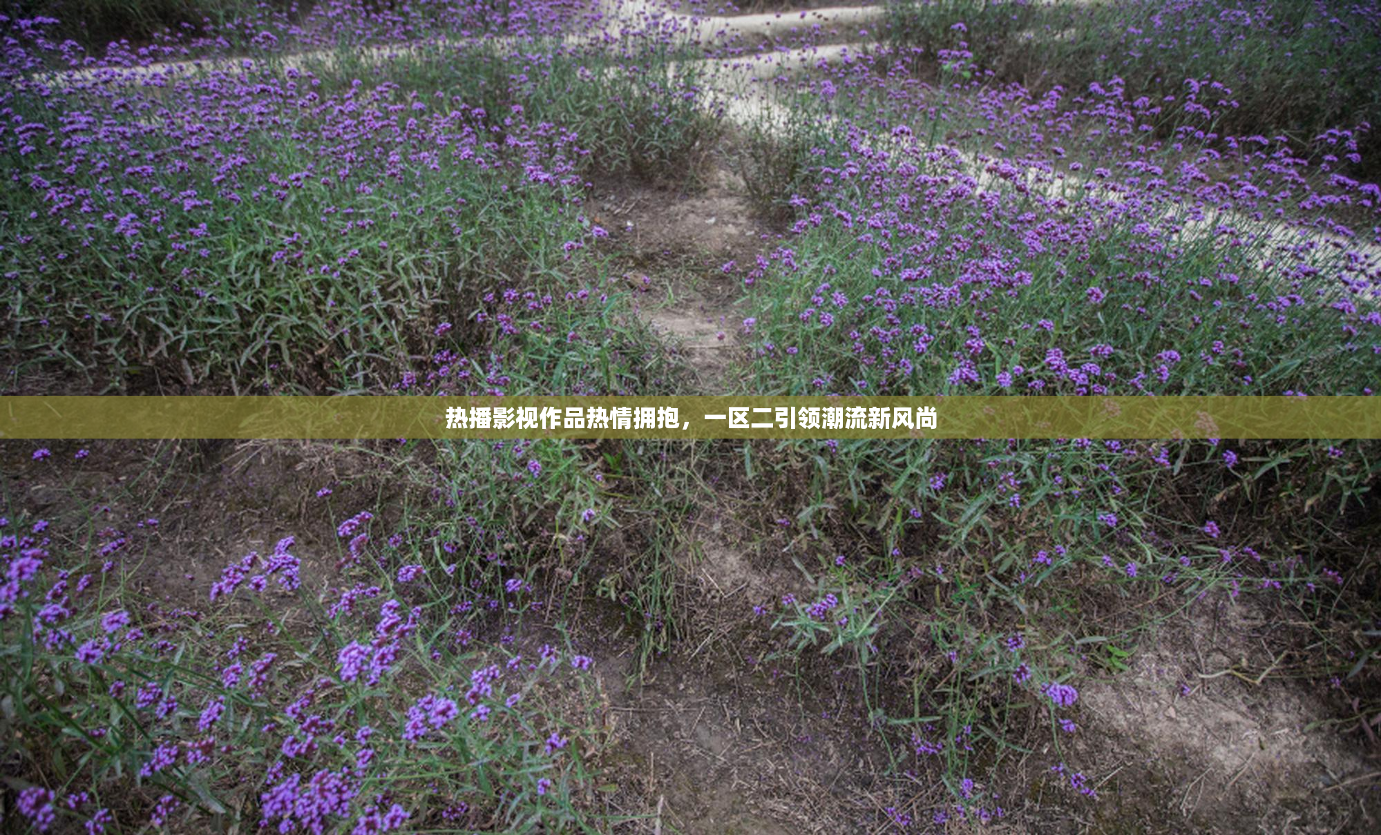 热播影视作品热情拥抱，一区二引领潮流新风尚