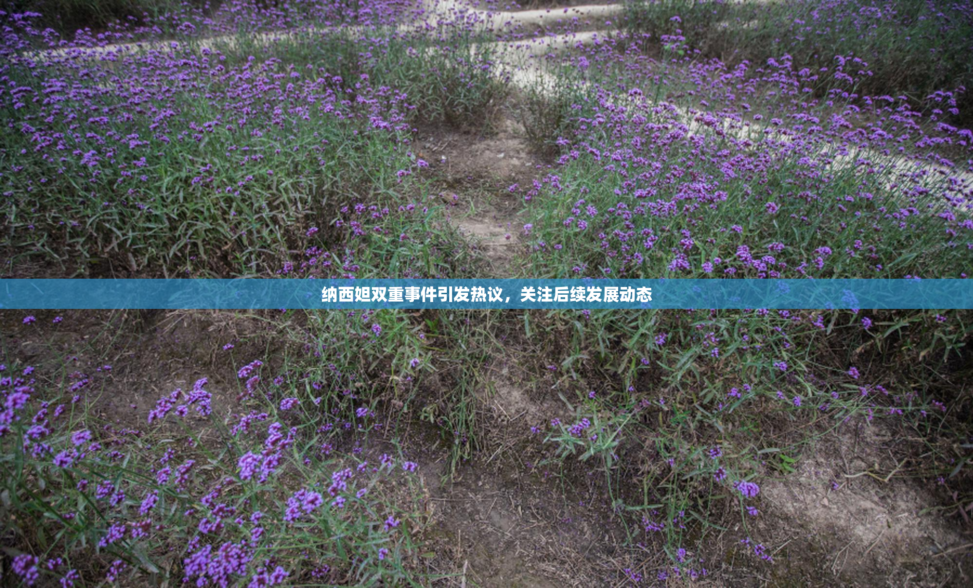 纳西妲双重事件引发热议，关注后续发展动态