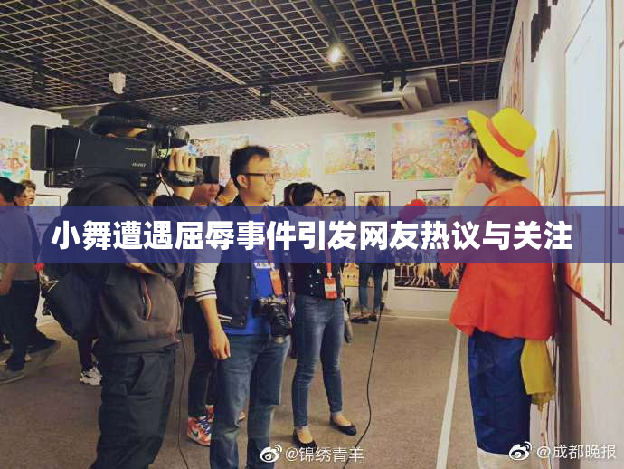 小舞遭遇屈辱事件引发网友热议与关注
