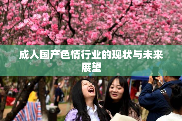 成人国产色情行业的现状与未来展望