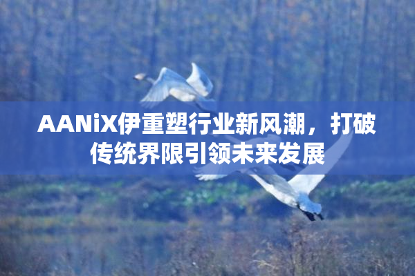 AANiX伊重塑行业新风潮，打破传统界限引领未来发展