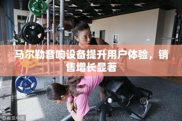 马尔勒音响设备提升用户体验，销售增长显著