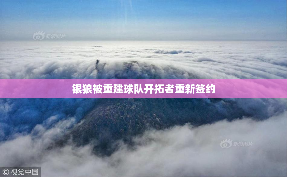 银狼被重建球队开拓者重新签约