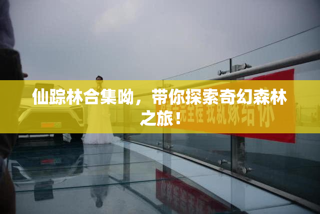 仙踪林合集呦，带你探索奇幻森林之旅！