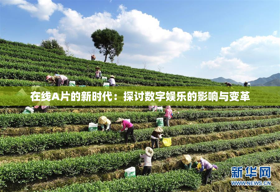 在线A片的新时代：探讨数字娱乐的影响与变革