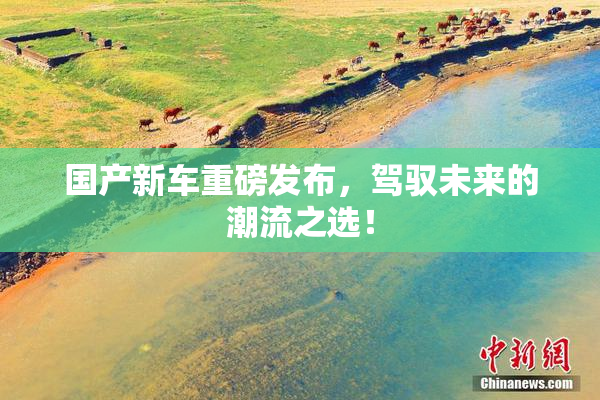 国产新车重磅发布，驾驭未来的潮流之选！