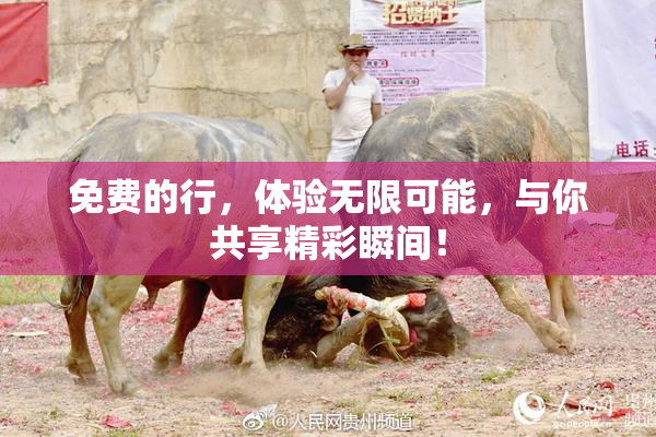 免费的行，体验无限可能，与你共享精彩瞬间！