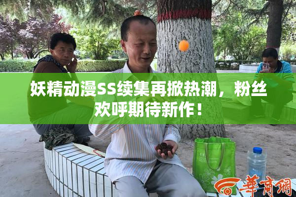 妖精动漫SS续集再掀热潮，粉丝欢呼期待新作！