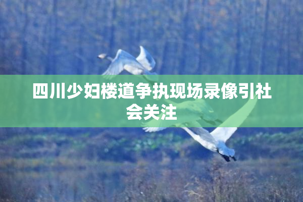 四川少妇楼道争执现场录像引社会关注