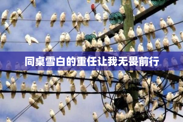 同桌雪白的重任让我无畏前行