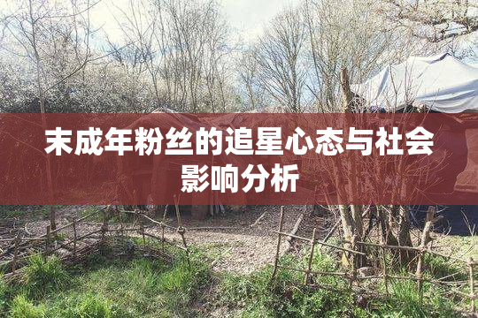 末成年粉丝的追星心态与社会影响分析