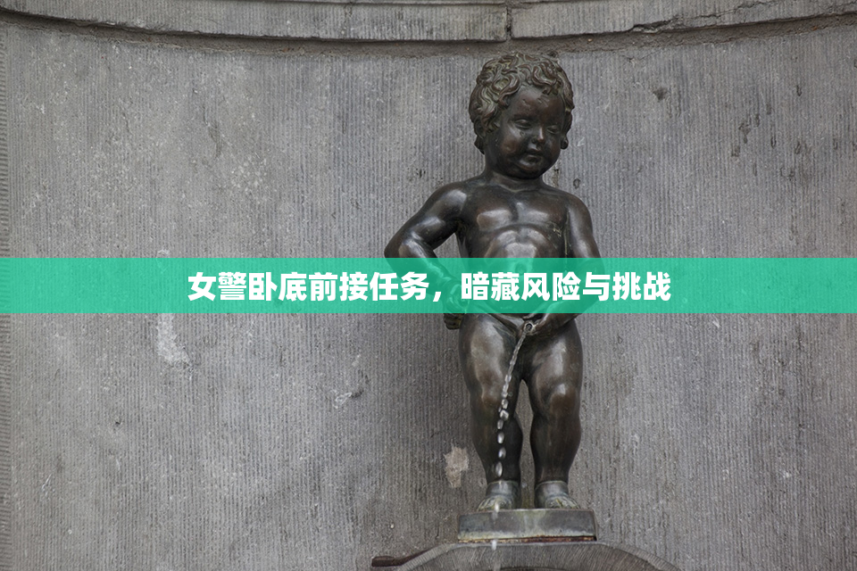 女警卧底前接任务，暗藏风险与挑战