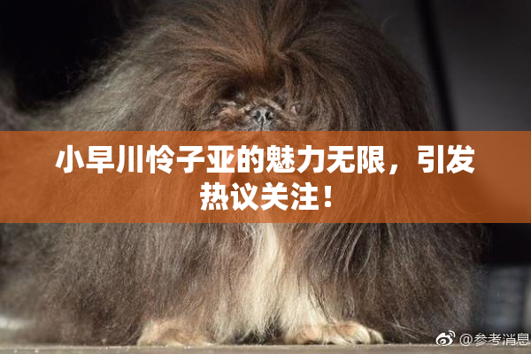 小早川怜子亚的魅力无限，引发热议关注！