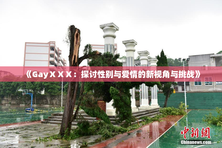 《GayⅩⅩⅩ：探讨性别与爱情的新视角与挑战》