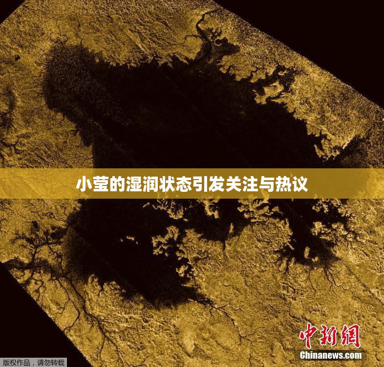 小莹的湿润状态引发关注与热议